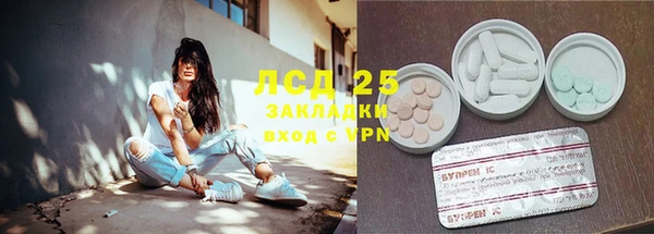 мет Алексин